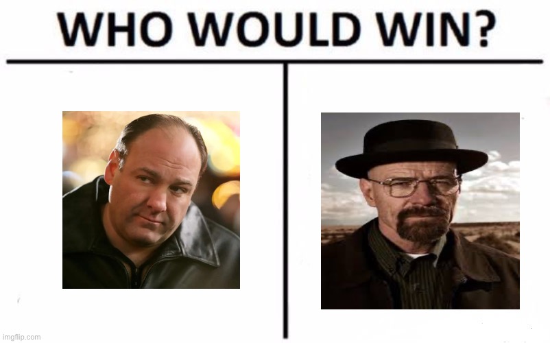 Tony Soprano would dominate Walter | image tagged in memes,who would win | made w/ Imgflip meme maker