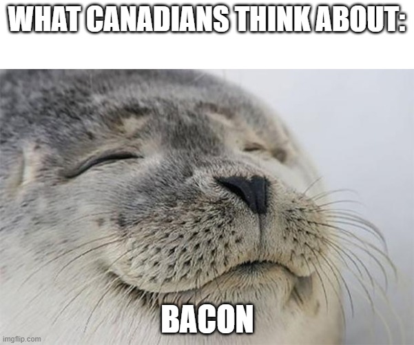 canadian idiot | WHAT CANADIANS THINK ABOUT:; BACON | image tagged in memes,satisfied seal | made w/ Imgflip meme maker