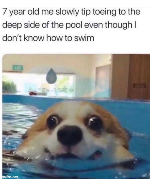 This is me with hot tubs XD | image tagged in repost,funny | made w/ Imgflip meme maker