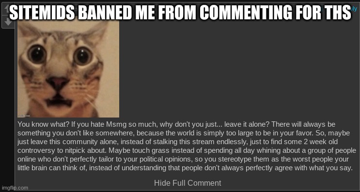 "Harassing another user" | SITEMIDS BANNED ME FROM COMMENTING FOR THS | made w/ Imgflip meme maker