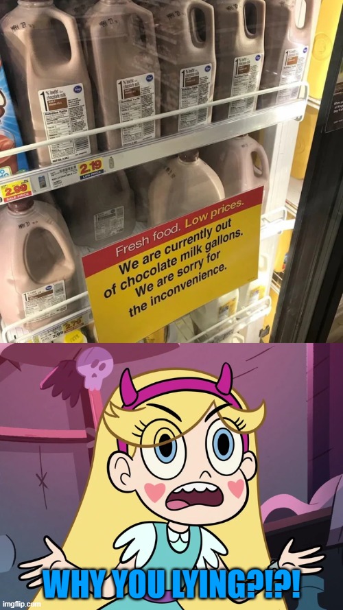 WHY YOU LYING?!?! | image tagged in star butterfly,you had one job,star vs the forces of evil,memes | made w/ Imgflip meme maker