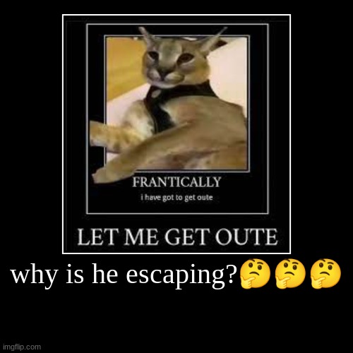 why is he escaping???? | | made w/ Imgflip demotivational maker