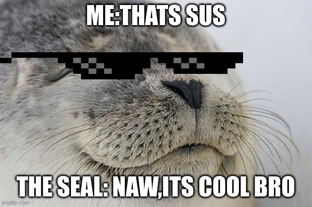 Satisfied Seal Meme | ME:THATS SUS; THE SEAL: NAW,ITS COOL BRO | image tagged in memes,satisfied seal | made w/ Imgflip meme maker