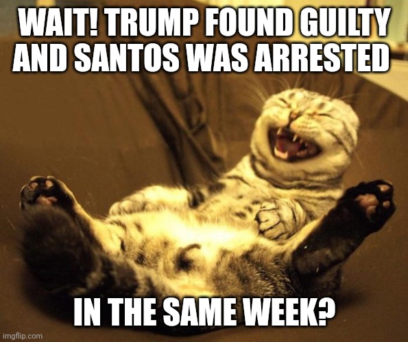 It's like Tucker and Dominion all over again | WAIT! TRUMP FOUND GUILTY AND SANTOS WAS ARRESTED; IN THE SAME WEEK? | image tagged in laughing cat,donald trump,arrested,guilty,politics | made w/ Imgflip meme maker