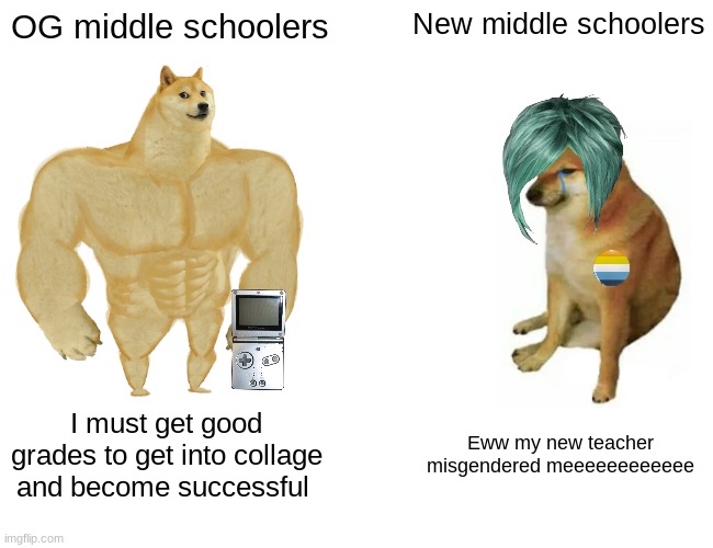 Sad but true | OG middle schoolers; New middle schoolers; I must get good grades to get into collage and become successful; Eww my new teacher misgendered meeeeeeeeeeee | image tagged in memes,buff doge vs cheems | made w/ Imgflip meme maker