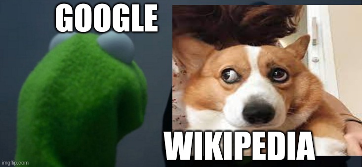 GOOGLE; WIKIPEDIA | made w/ Imgflip meme maker