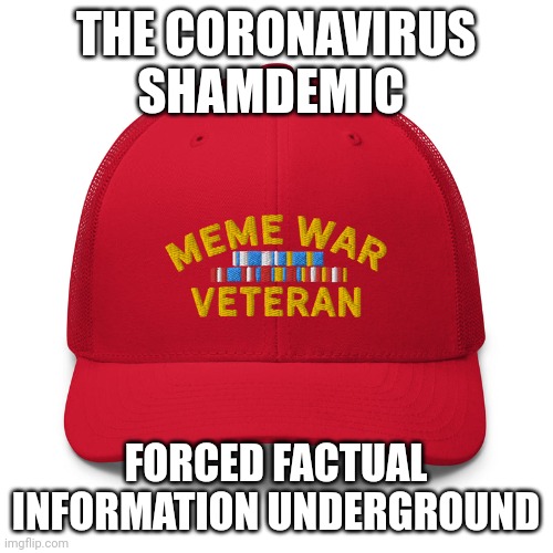 Rona survivor | THE CORONAVIRUS SHAMDEMIC; FORCED FACTUAL INFORMATION UNDERGROUND | image tagged in meme war vet,covid-19,joe biden,democrats,red-blood,non-bot | made w/ Imgflip meme maker