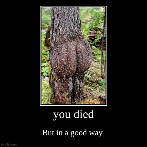 you died | But in a good way | image tagged in funny,demotivationals | made w/ Imgflip demotivational maker