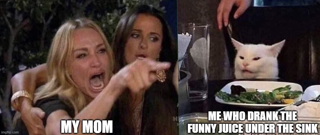 woman yelling at cat | MY MOM; ME WHO DRANK THE FUNNY JUICE UNDER THE SINK | image tagged in woman yelling at cat | made w/ Imgflip meme maker