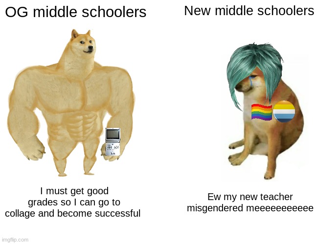 Sad but true | OG middle schoolers; New middle schoolers; I must get good grades so I can go to collage and become successful; Ew my new teacher misgendered meeeeeeeeeee | image tagged in memes,buff doge vs cheems | made w/ Imgflip meme maker