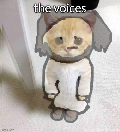 in | the voices | image tagged in my head | made w/ Imgflip meme maker