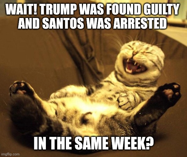 It's like Dominion and Tucker all over again | WAIT! TRUMP WAS FOUND GUILTY 
AND SANTOS WAS ARRESTED; IN THE SAME WEEK? | image tagged in laughing cat,donald trump,guilty,arrested,politics | made w/ Imgflip meme maker