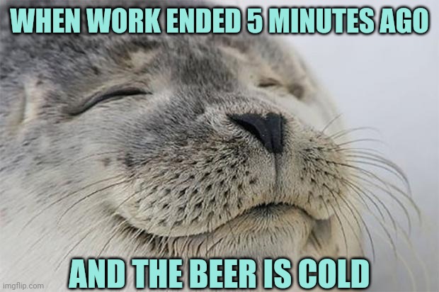 Ahh | WHEN WORK ENDED 5 MINUTES AGO; AND THE BEER IS COLD | image tagged in memes,satisfied seal | made w/ Imgflip meme maker