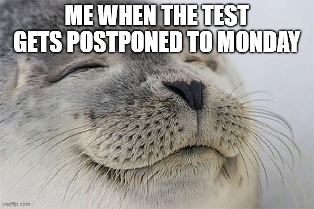 my sister made this meme lol | ME WHEN THE TEST GETS POSTPONED TO MONDAY | image tagged in memes,satisfied seal | made w/ Imgflip meme maker