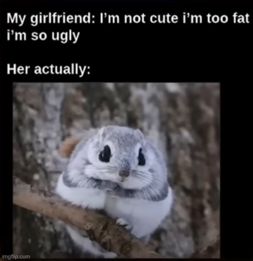 I'm not cute i'm too fat i'm so ugly | made w/ Imgflip meme maker