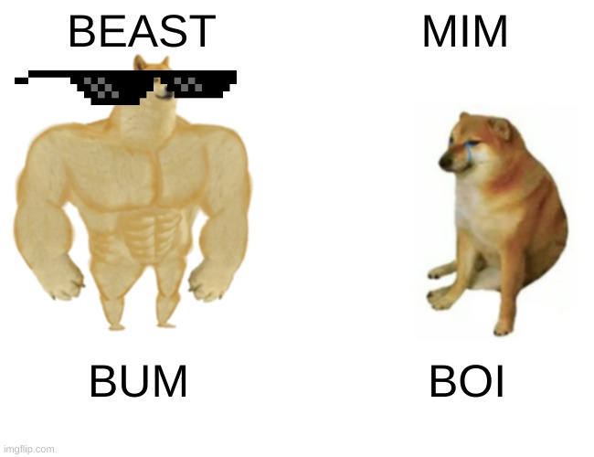 Buff Doge vs. Cheems | BEAST; MIM; BUM; BOI | image tagged in memes,buff doge vs cheems | made w/ Imgflip meme maker