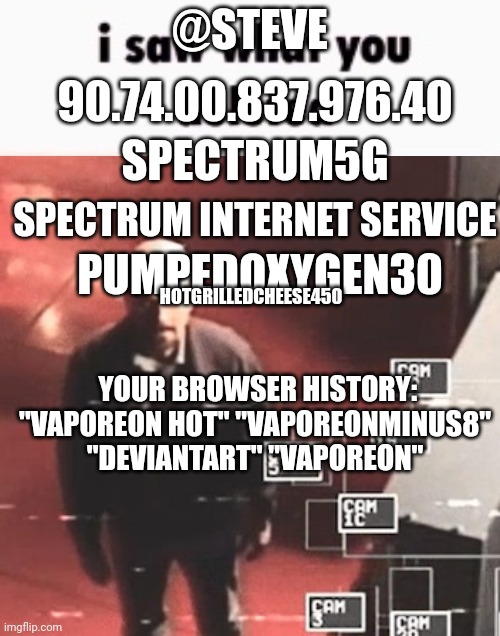 Steve gets doxxed | @STEVE; 90.74.00.837.976.40; SPECTRUM5G; SPECTRUM INTERNET SERVICE; PUMPEDOXYGEN30; HOTGRILLEDCHEESE450; YOUR BROWSER HISTORY: "VAPOREON HOT" "VAPOREONMINUS8" "DEVIANTART" "VAPOREON" | image tagged in i saw what you deleted | made w/ Imgflip meme maker