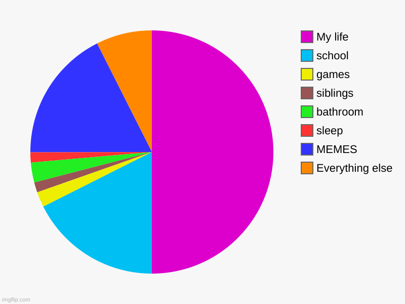 Everything else, MEMES, sleep, bathroom, siblings, games, school, My life | image tagged in charts,pie charts | made w/ Imgflip chart maker