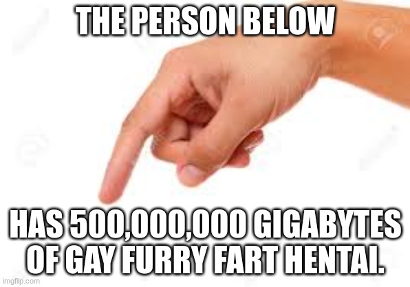this is gonna go so badly lmfao. | THE PERSON BELOW; HAS 500,000,000 GIGABYTES OF GAY FURRY FART HENTAI. | image tagged in the person below | made w/ Imgflip meme maker