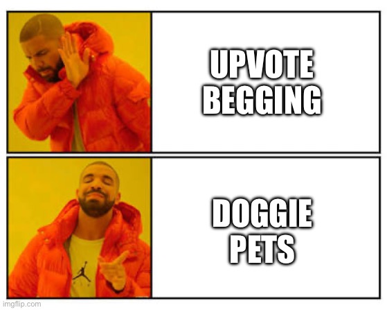 Petting the dog | UPVOTE BEGGING; DOGGIE PETS | image tagged in no - yes,dog,pet | made w/ Imgflip meme maker
