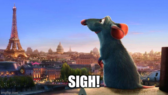 Ratatouille | SIGH! | image tagged in ratatouille | made w/ Imgflip meme maker