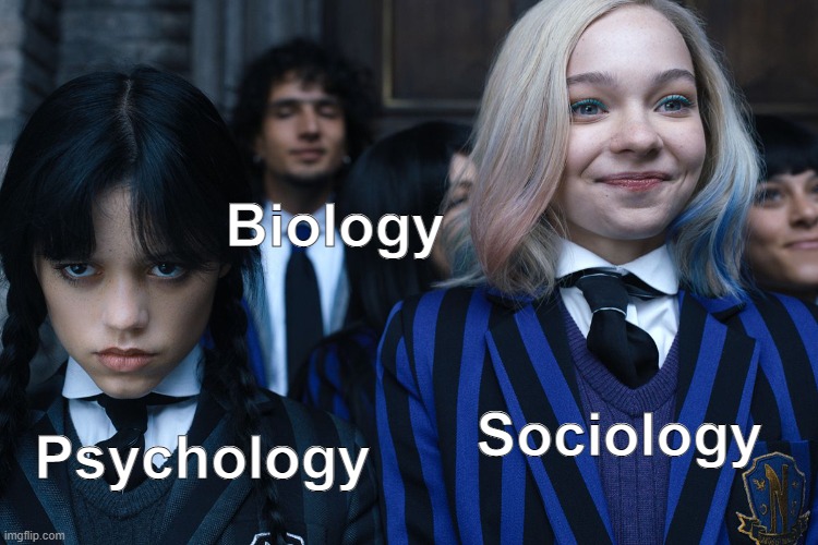 Pick your fighter. | Biology; Sociology; Psychology | image tagged in wednesday and enid,psychology,biology,sociology | made w/ Imgflip meme maker