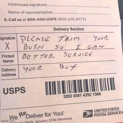 service your box | image tagged in postal service,funny,repost,pussy,usps | made w/ Imgflip meme maker