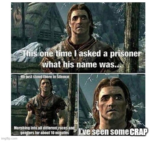 Skyrim | CRAP | image tagged in blank white template | made w/ Imgflip meme maker