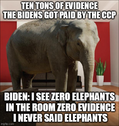 Elephant? What evidence? | TEN TONS OF EVIDENCE THE BIDENS GOT PAID BY THE CCP; BIDEN: I SEE ZERO ELEPHANTS
 IN THE ROOM ZERO EVIDENCE
 I NEVER SAID ELEPHANTS | image tagged in elephant in the room,biden,ccp | made w/ Imgflip meme maker