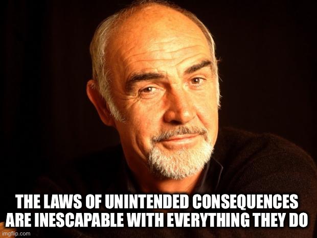 Sean Connery Of Coursh | THE LAWS OF UNINTENDED CONSEQUENCES 
ARE INESCAPABLE WITH EVERYTHING THEY DO | image tagged in sean connery of coursh | made w/ Imgflip meme maker