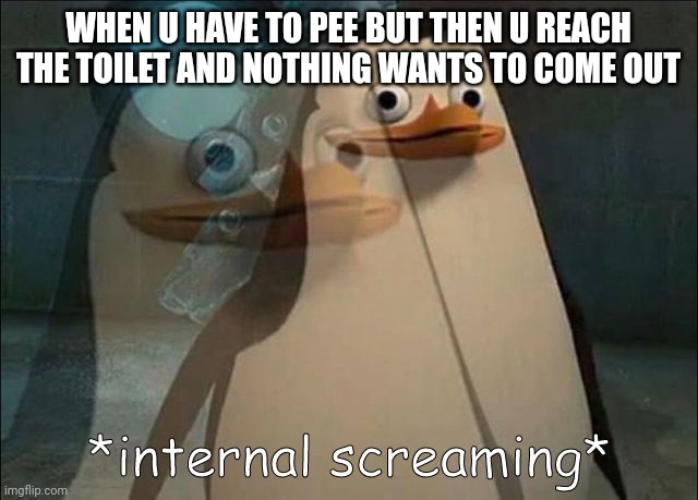 Seriously though | WHEN U HAVE TO PEE BUT THEN U REACH THE TOILET AND NOTHING WANTS TO COME OUT | image tagged in private internal screaming,bathroom,pee,toilet,weird | made w/ Imgflip meme maker