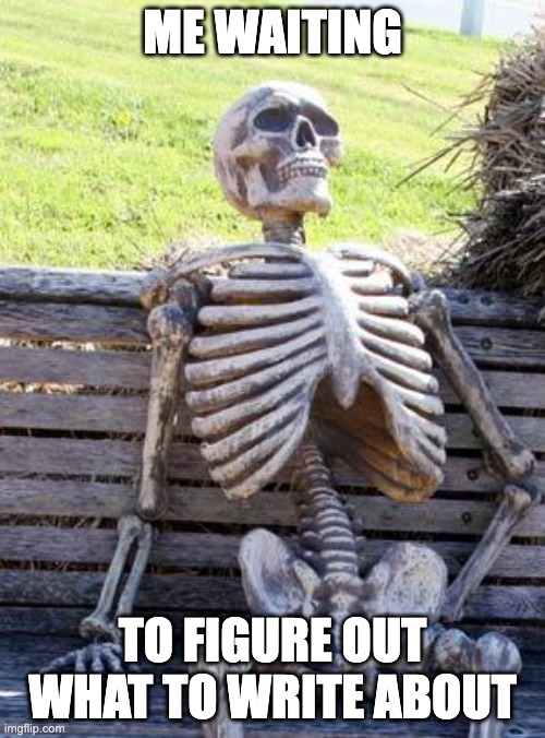 Waiting Skeleton | ME WAITING; TO FIGURE OUT WHAT TO WRITE ABOUT | image tagged in memes,waiting skeleton | made w/ Imgflip meme maker