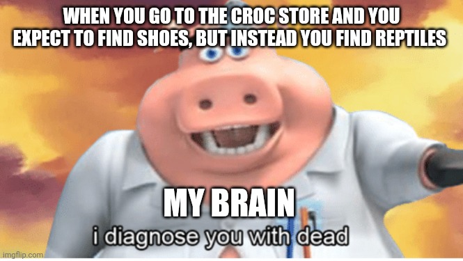 Oh, there's Crocs alright... | WHEN YOU GO TO THE CROC STORE AND YOU EXPECT TO FIND SHOES, BUT INSTEAD YOU FIND REPTILES; MY BRAIN | image tagged in i diagnose you with dead | made w/ Imgflip meme maker