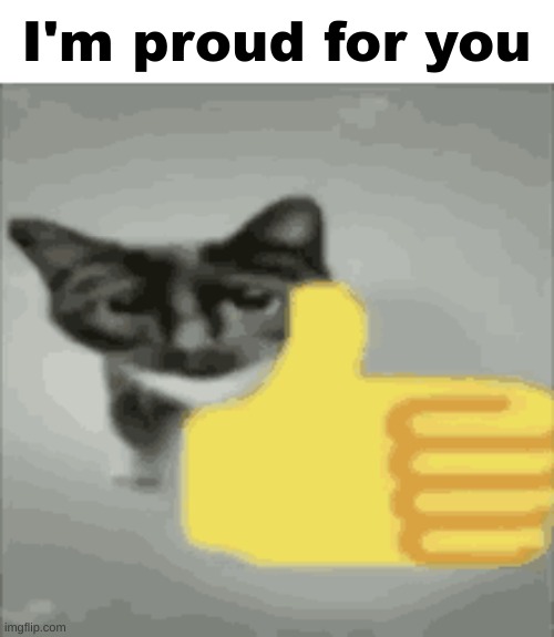 cat thumbs up | I'm proud for you | image tagged in cat thumbs up | made w/ Imgflip meme maker