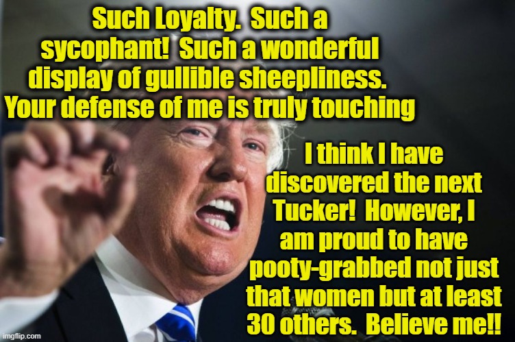 donald trump | Such Loyalty.  Such a sycophant!  Such a wonderful display of gullible sheepliness.  Your defense of me is truly touching I think I have dis | image tagged in donald trump | made w/ Imgflip meme maker