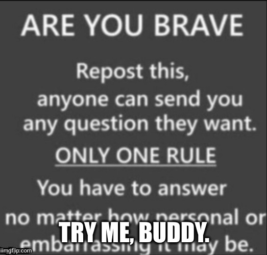 Let's do this. I'll try to be as honest as possible. | TRY ME, BUDDY. | image tagged in are you brave | made w/ Imgflip meme maker