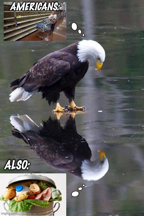 Food shortages: yes, and then again. . . | AMERICANS:; ALSO: | image tagged in existential crisis eagle,food,usa | made w/ Imgflip meme maker