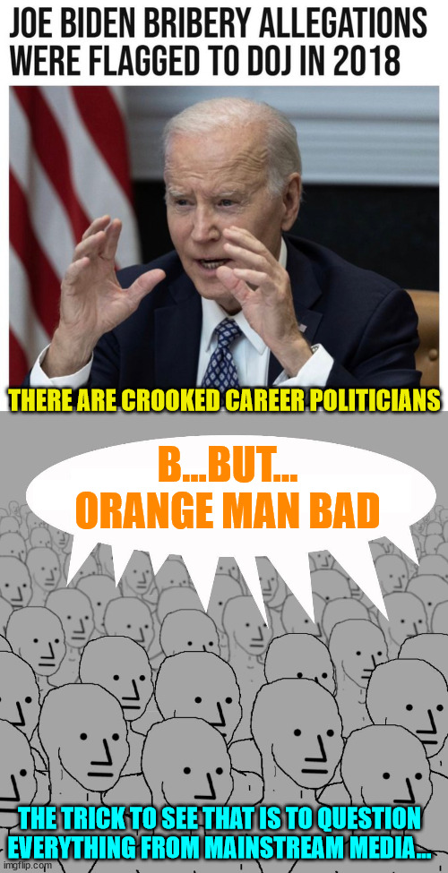 Don't be a mainstream media sheeple... and stay away from the woke cult... | THERE ARE CROOKED CAREER POLITICIANS; B...BUT... ORANGE MAN BAD; THE TRICK TO SEE THAT IS TO QUESTION EVERYTHING FROM MAINSTREAM MEDIA... | image tagged in npc,mainstream media,sheeple | made w/ Imgflip meme maker