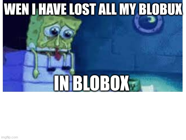 not my blobux!!!!1!!! | WEN I HAVE LOST ALL MY BLOBUX; IN BLOBOX | image tagged in funny memes | made w/ Imgflip meme maker