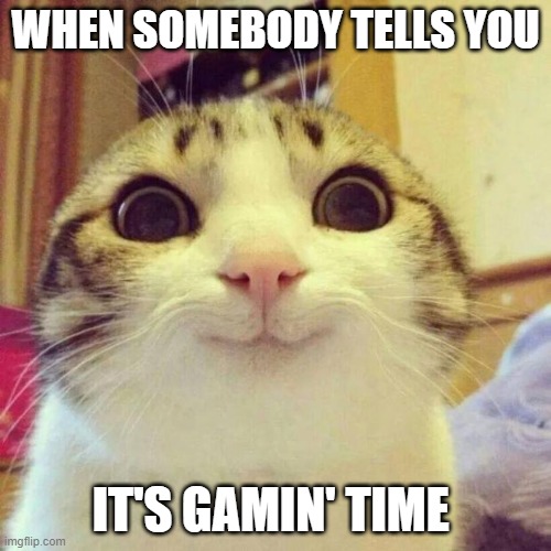 Smiling Cat | WHEN SOMEBODY TELLS YOU; IT'S GAMIN' TIME | image tagged in memes,smiling cat | made w/ Imgflip meme maker