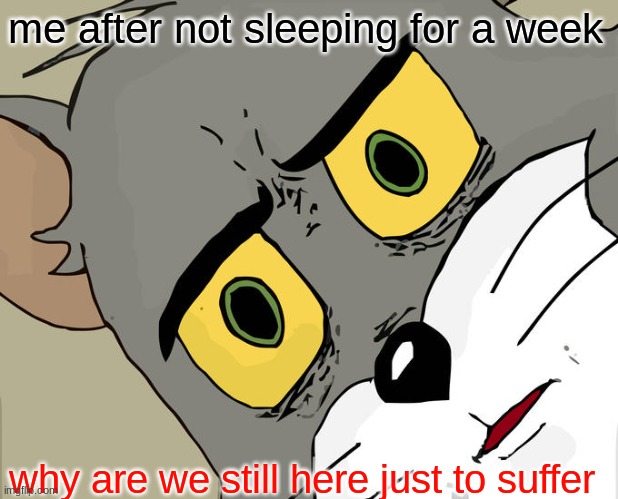 why why why | me after not sleeping for a week; why are we still here just to suffer | image tagged in memes,unsettled tom | made w/ Imgflip meme maker