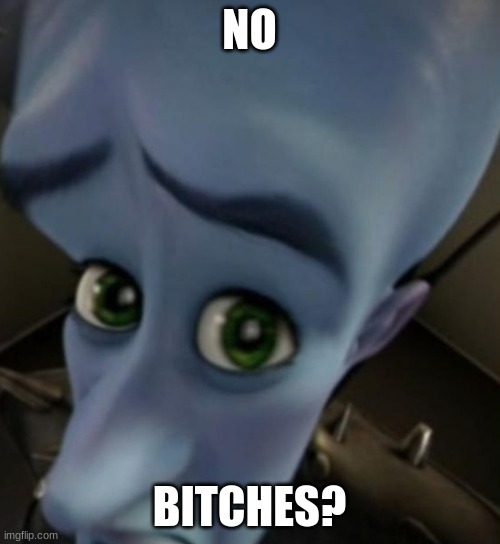 Megamind no bitches | NO BITCHES? | image tagged in megamind no bitches | made w/ Imgflip meme maker