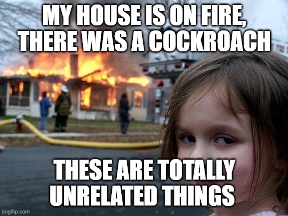Disaster Girl Meme | MY HOUSE IS ON FIRE, THERE WAS A COCKROACH; THESE ARE TOTALLY UNRELATED THINGS | image tagged in memes,disaster girl | made w/ Imgflip meme maker