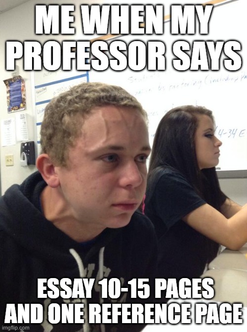I hate writing eassays | ME WHEN MY PROFESSOR SAYS; ESSAY 10-15 PAGES AND ONE REFERENCE PAGE | image tagged in funny | made w/ Imgflip meme maker