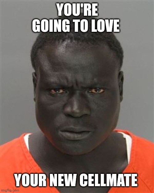 Misunderstood Prison Inmate | YOU'RE GOING TO LOVE YOUR NEW CELLMATE | image tagged in misunderstood prison inmate | made w/ Imgflip meme maker