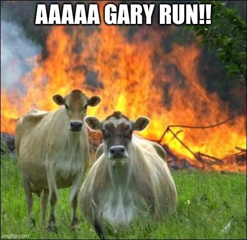 AAAAAAAAAAAAAA!! | AAAAA GARY RUN!! | image tagged in memes,evil cows | made w/ Imgflip meme maker