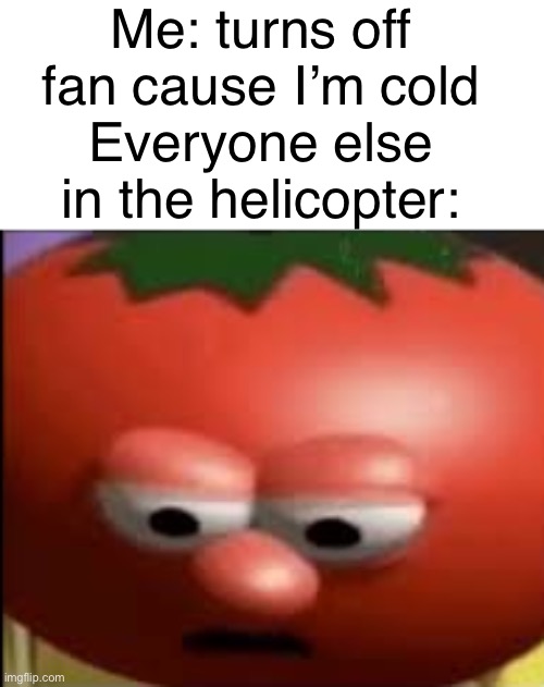 What I was cold | Me: turns off fan cause I’m cold
Everyone else in the helicopter: | image tagged in sad tomato,helicopter,cold,i am groot | made w/ Imgflip meme maker
