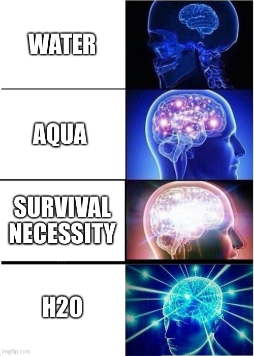 I like saying it fancy and fancier | WATER; AQUA; SURVIVAL NECESSITY; H20 | image tagged in memes,expanding brain | made w/ Imgflip meme maker