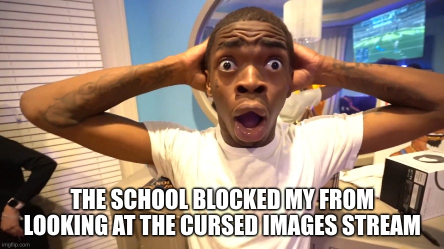 WHYYYYYYYYYY | THE SCHOOL BLOCKED MY FROM LOOKING AT THE CURSED IMAGES STREAM | image tagged in black guy surprised,why | made w/ Imgflip meme maker