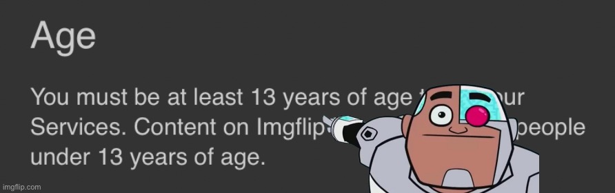 Imgflip terms of service age | image tagged in imgflip terms of service age | made w/ Imgflip meme maker